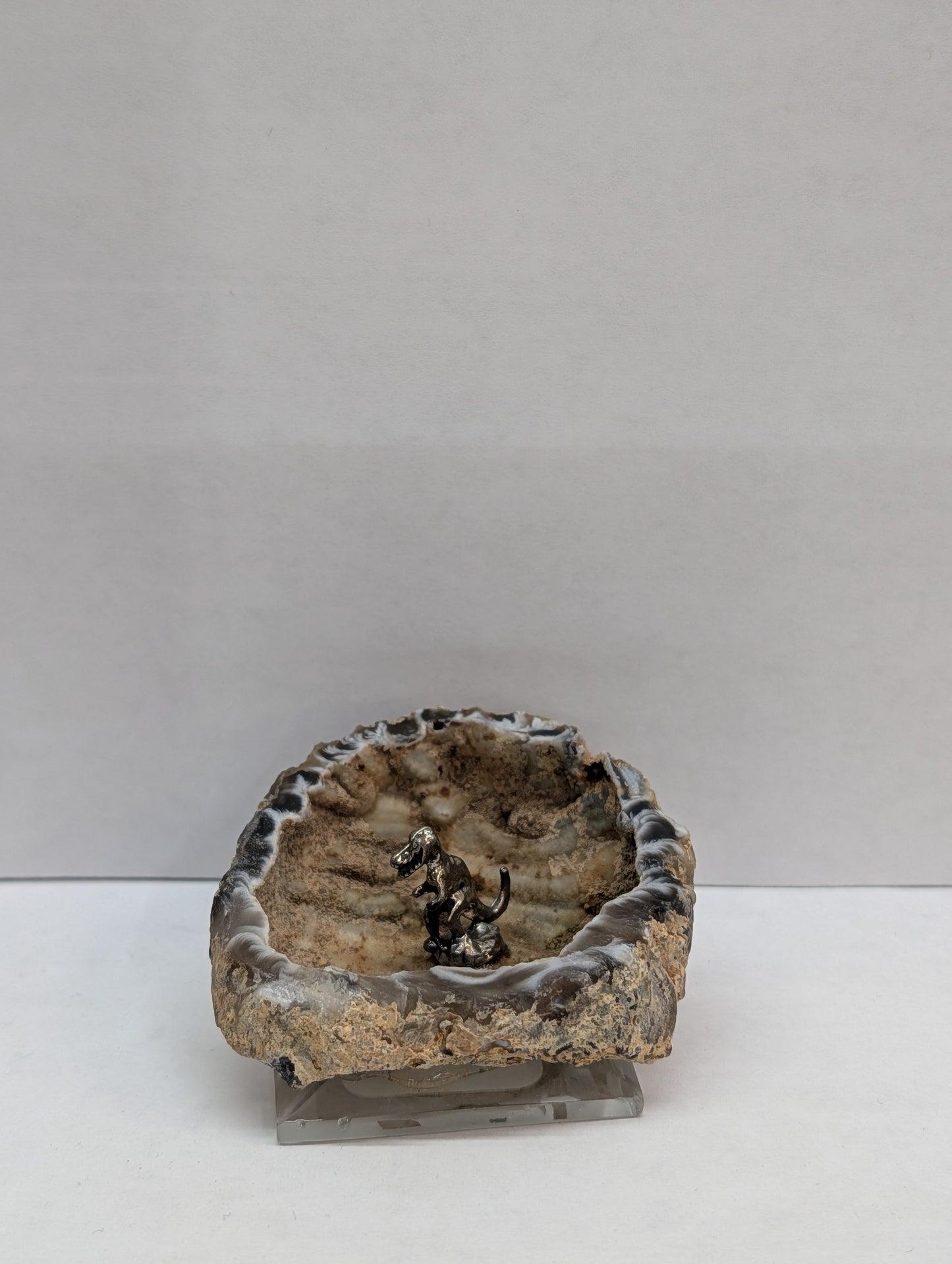 T-Rex In Geode