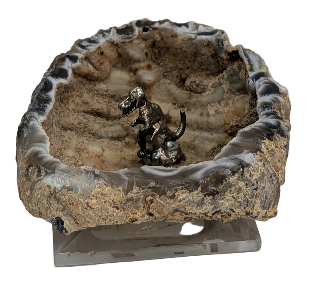T-Rex In Geode