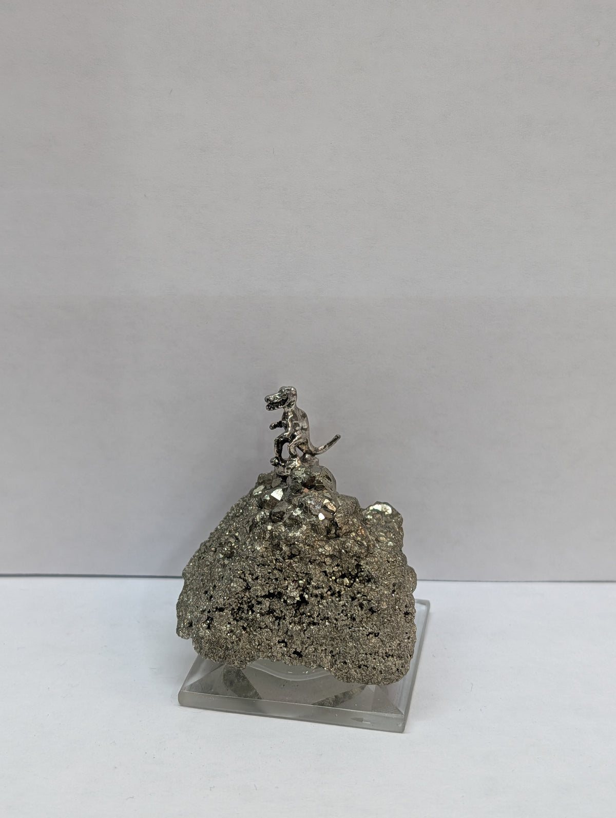 T-Rex on Pyrite