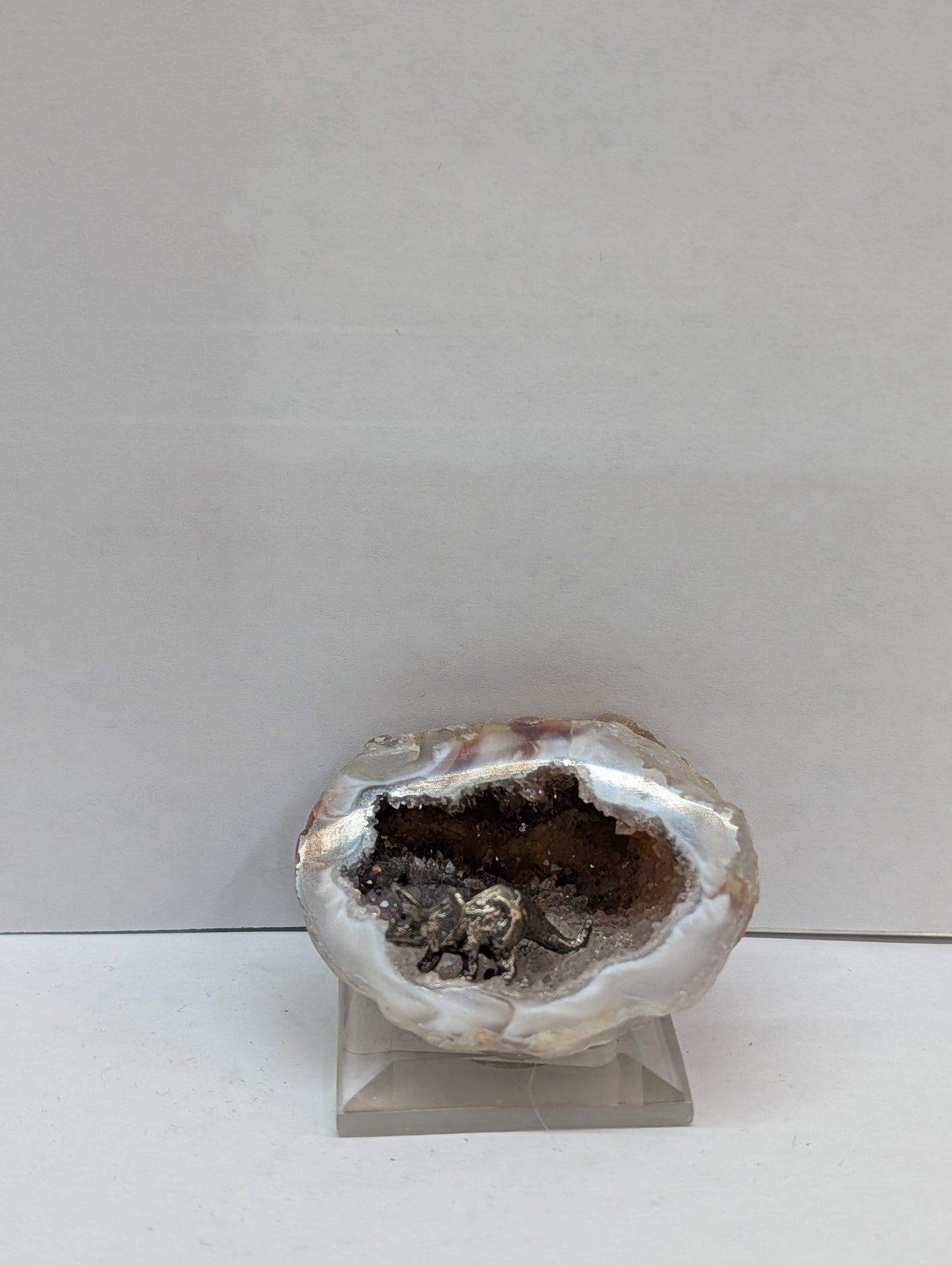 Triceratops in geode base
