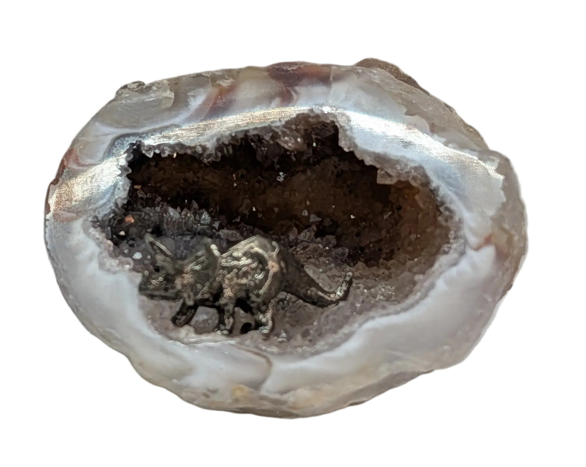 Triceratops in geode base