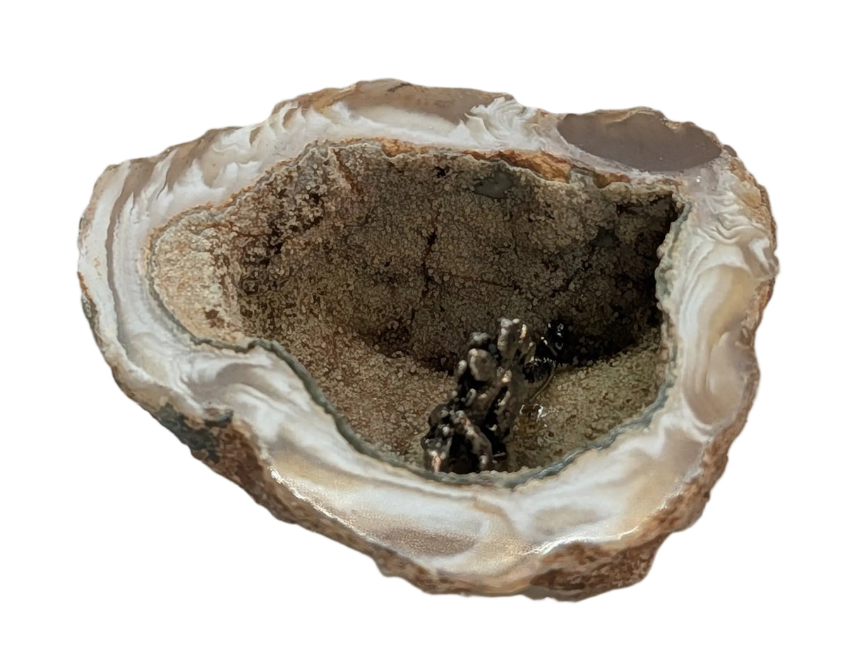 Stegosaurus in polished geode