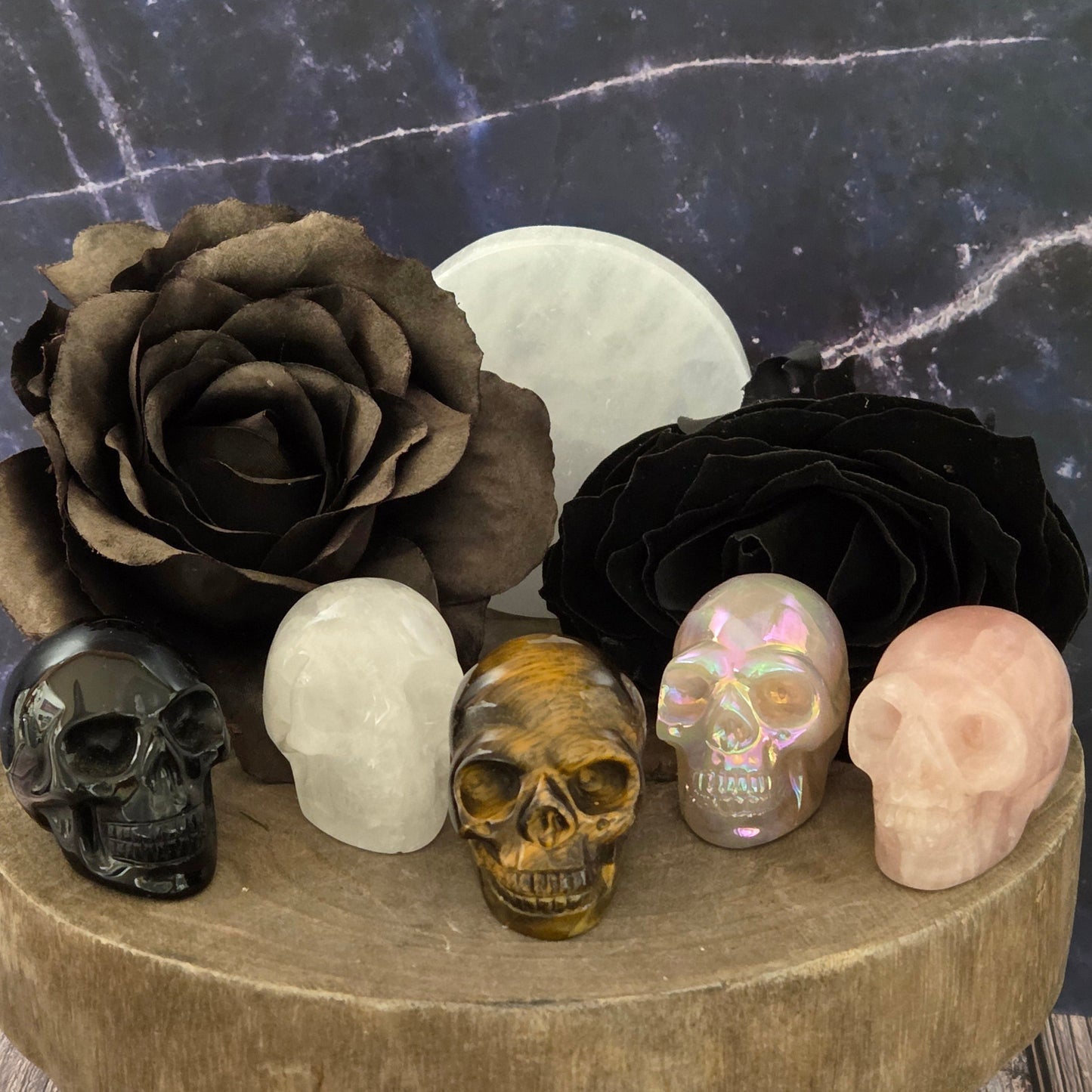 SKULLS LARGE — Pigeon Forge Gem Mine