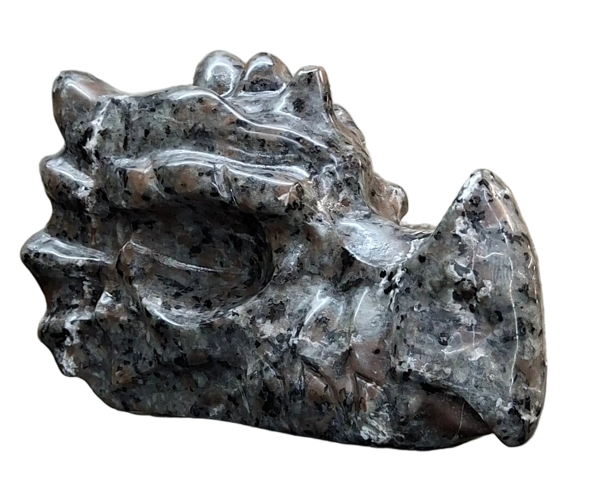 Yooperlite Dragon Head