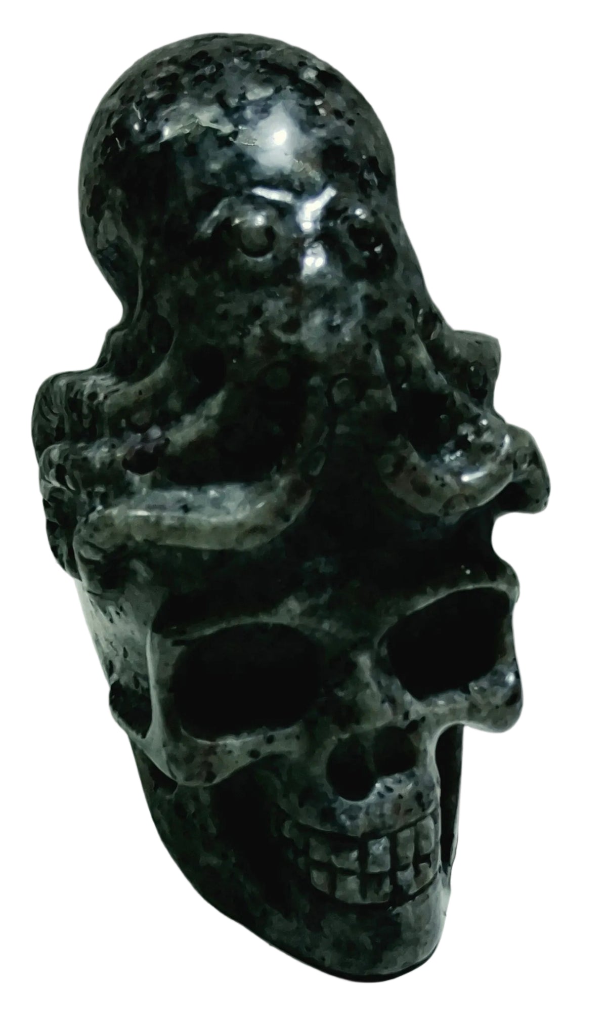 Yooperlite Skull Octopus