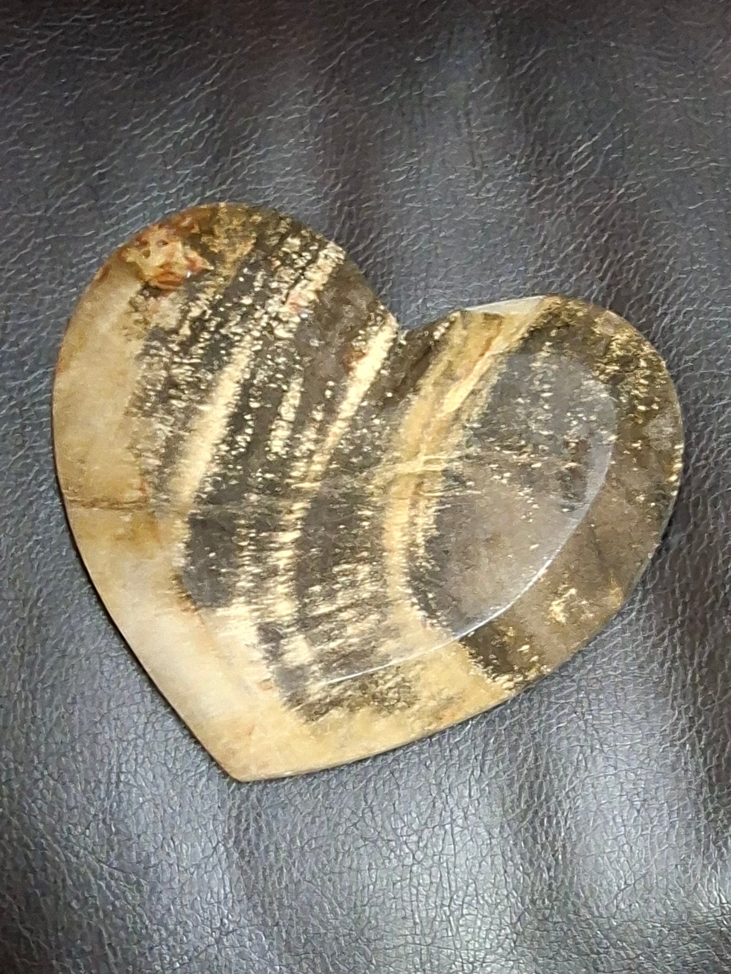Petrified Wood Heart