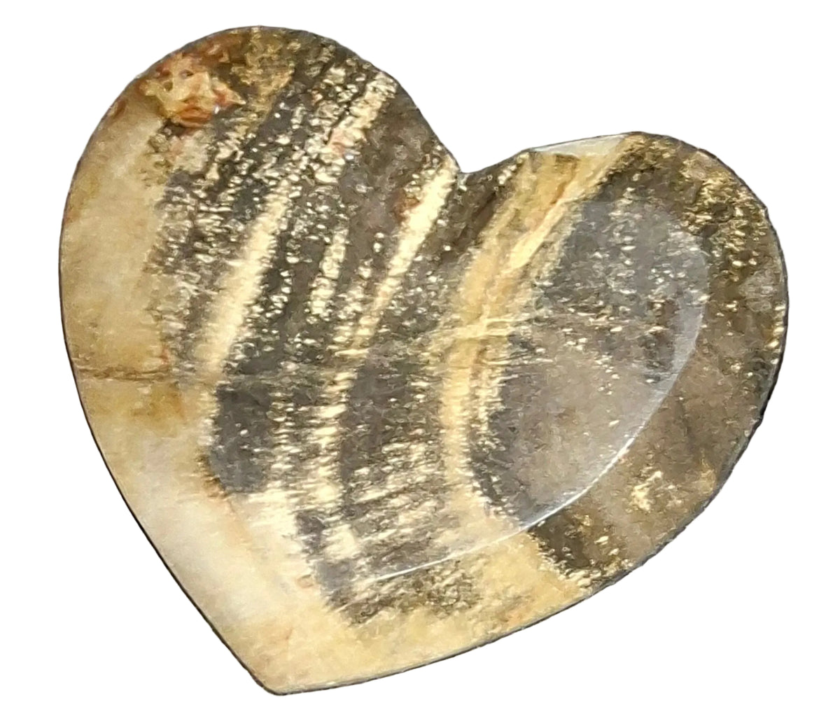Petrified Wood Heart