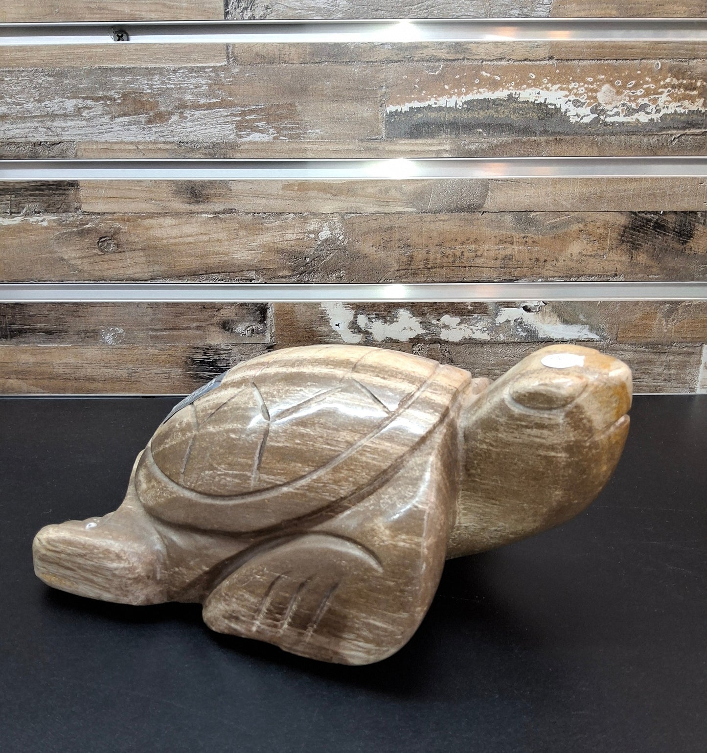 PETRIFIED WOOD TURTLE
