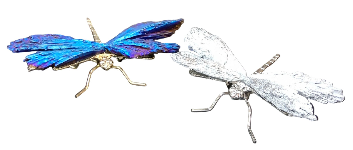 Titanium Dragonfly