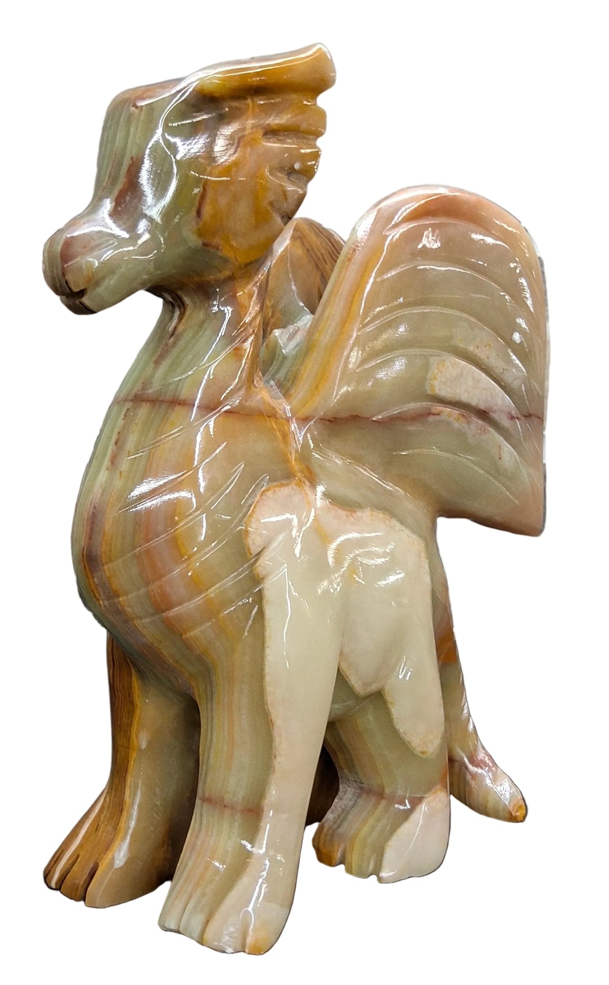 Onyx Animal