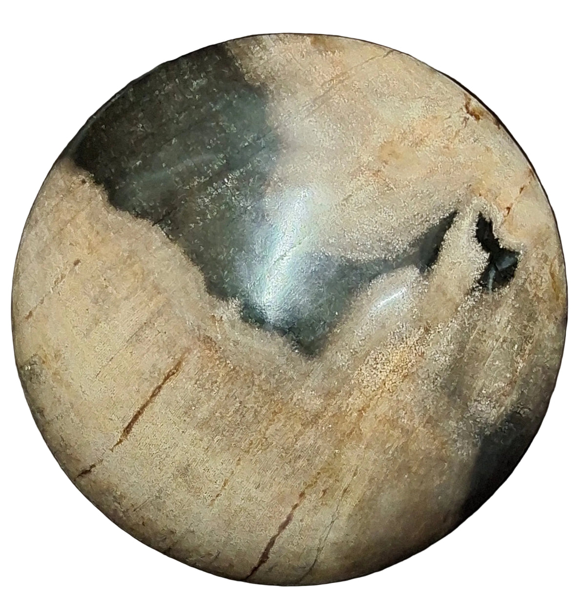 Petrified Wood Sphere
