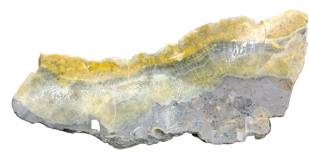 Bumblebee Jasper Slab