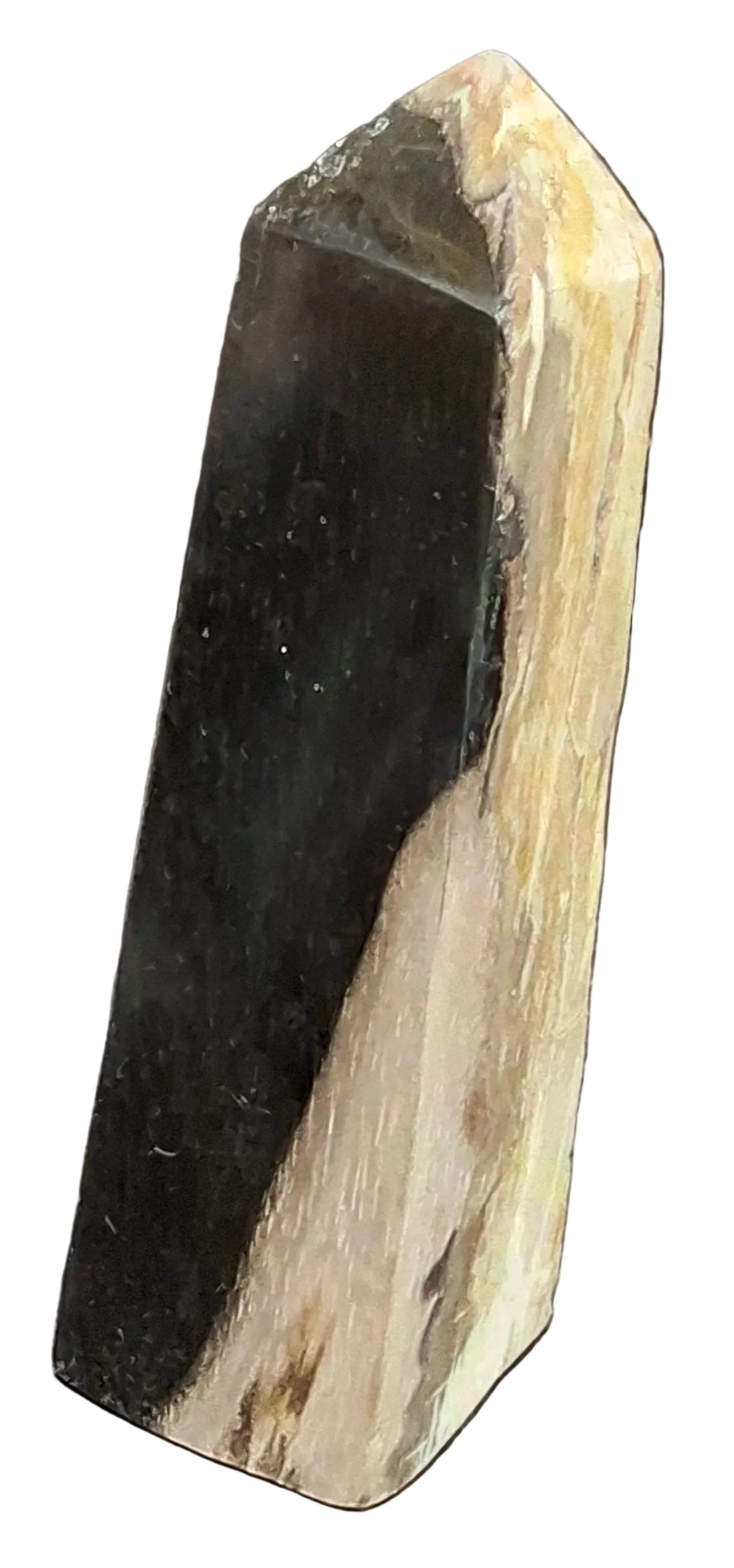 Petrified Wood Tower