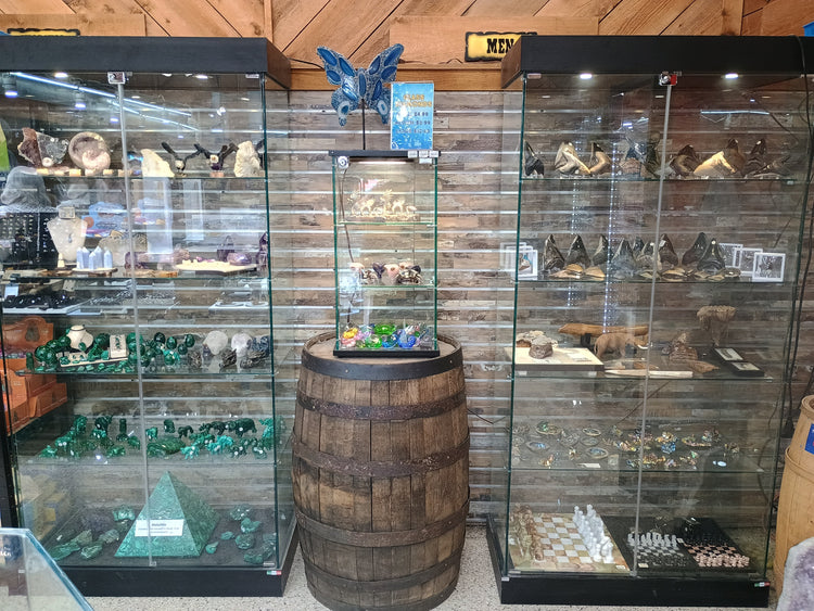 Glass Display Case