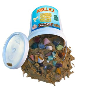 FOSSIL AND GEM BUCKETS