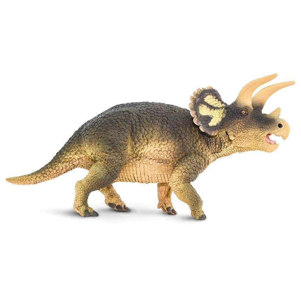 Triceratops — Safari Ltd