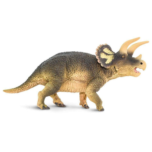 Triceratops — Safari Ltd