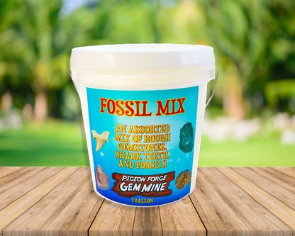 Fossil Bucket