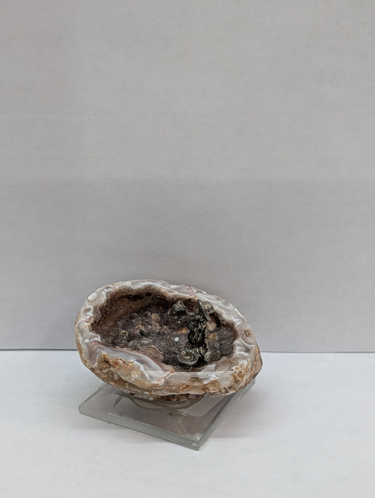 Prospector in geode