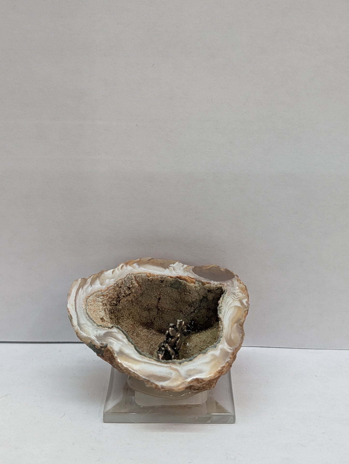 Stegosaurus in polished geode