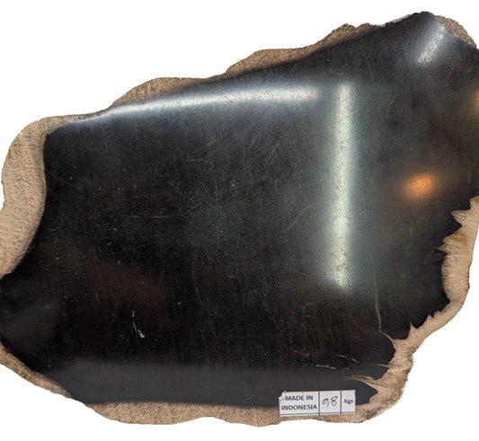 Petrified Wood Slab