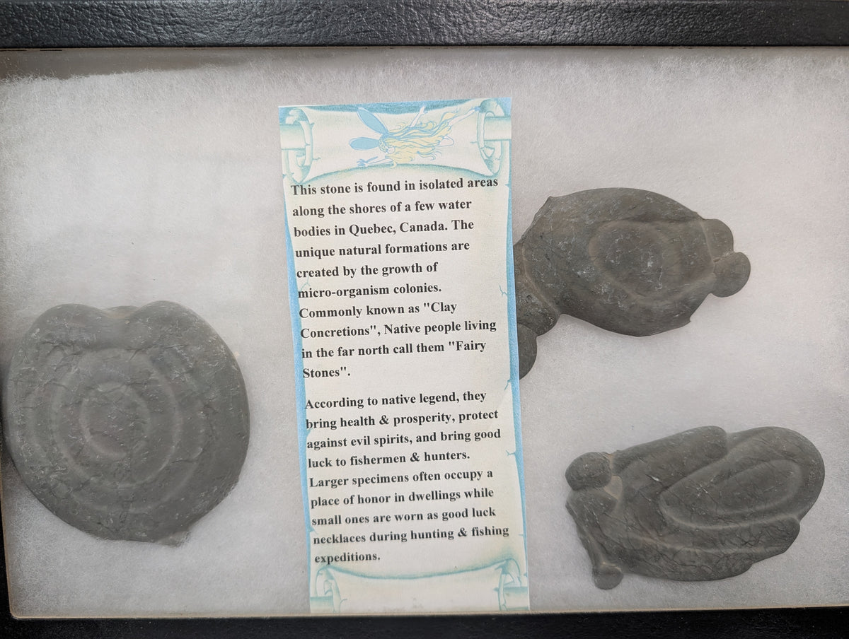 Clay Concretion Display