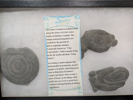 Clay Concretion Display