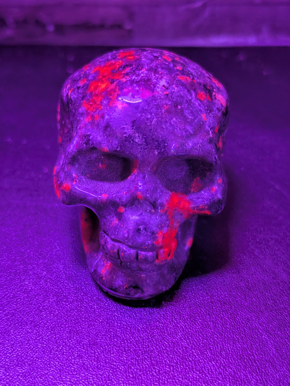 Medium Yooperlite Skull