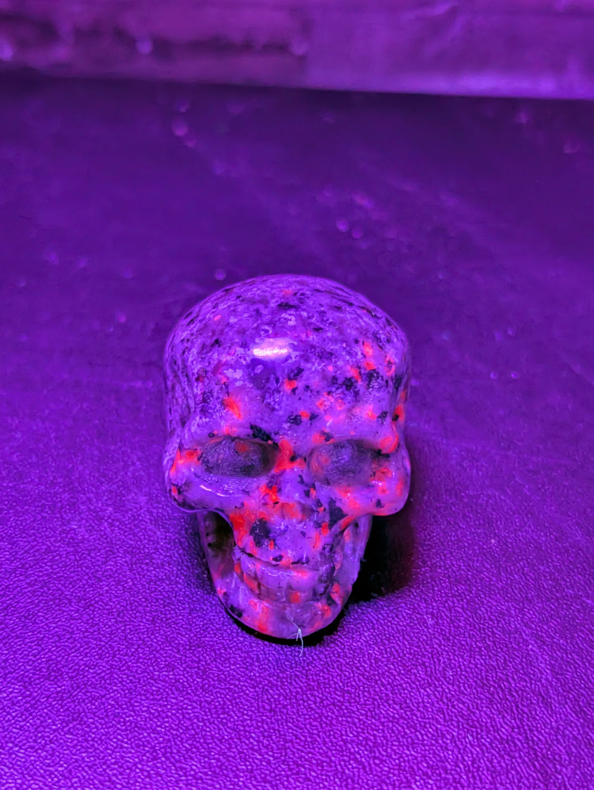 Small Yooperlite Skull