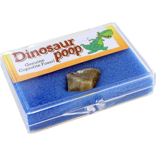 DINO POOP — Pigeon Forge Gem Mine