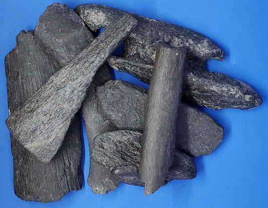 WHALE BONE — Pigeon Forge Gem Mine