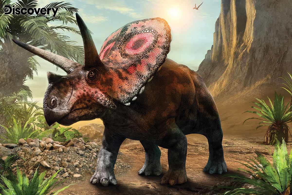 TOROSAURUS 3D PUZZLE — Pigeon Forge Gem Mine