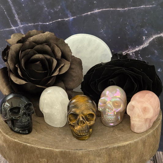SKULLS LARGE — Pigeon Forge Gem Mine