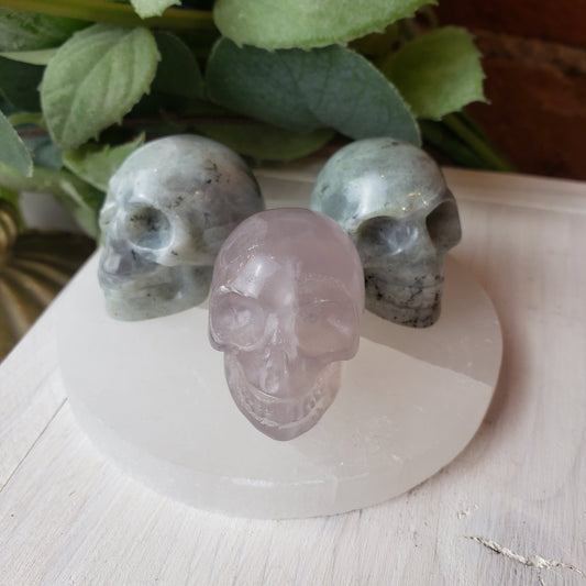 SMALL STONE SKULLS — Pigeon Forge Gem Mine
