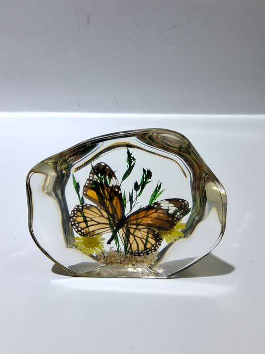 Butterfly Decor