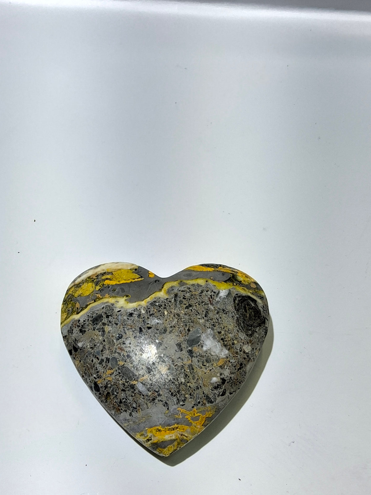 Bumblebee Jasper