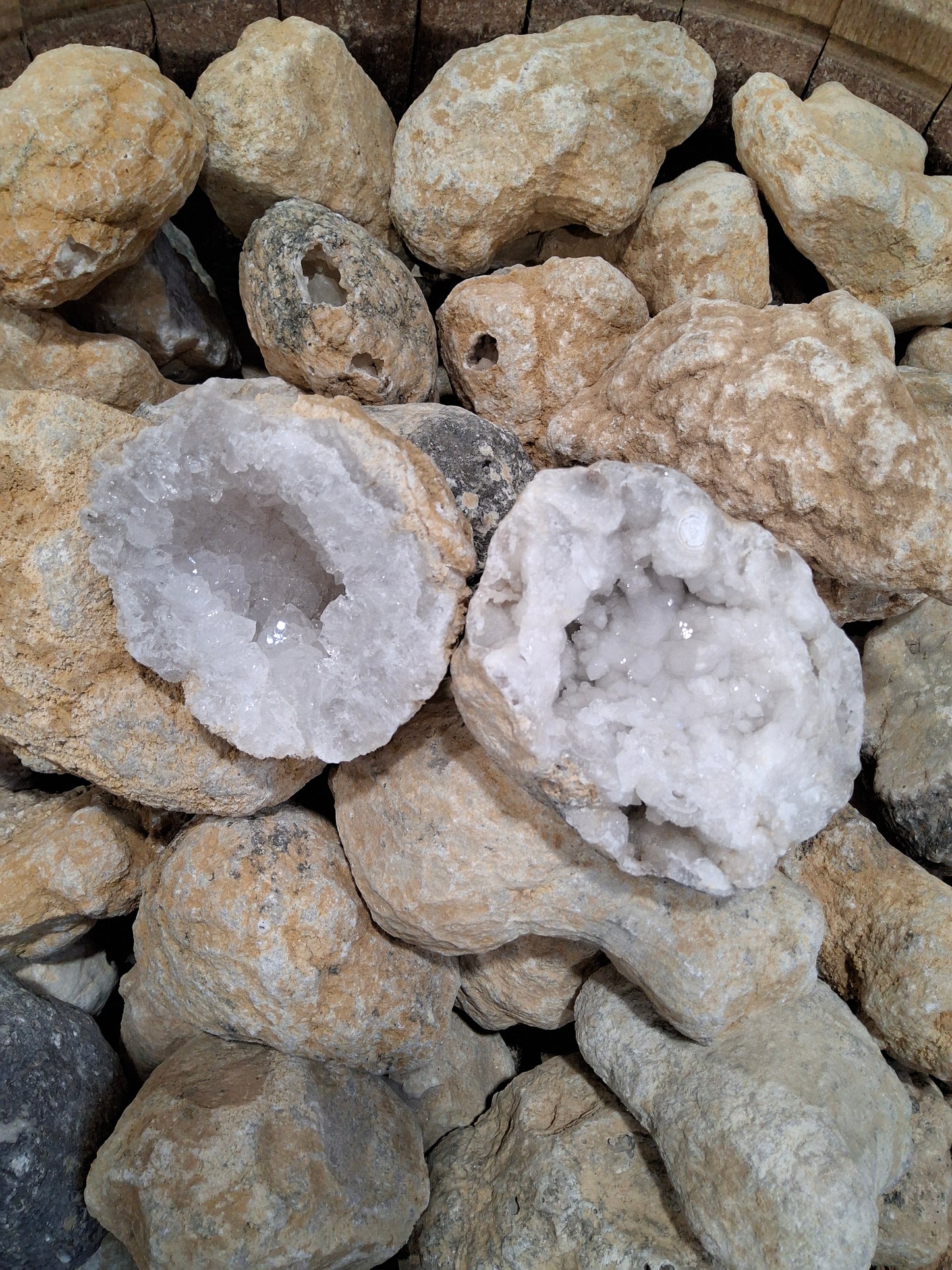GEODE