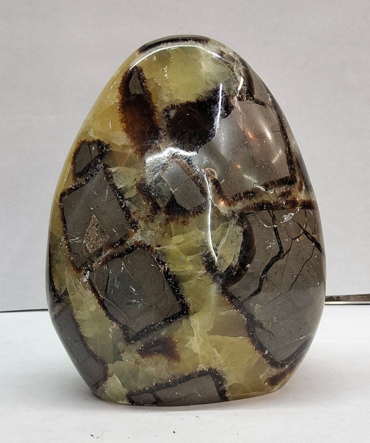 Septarian