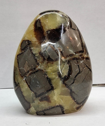 Septarian