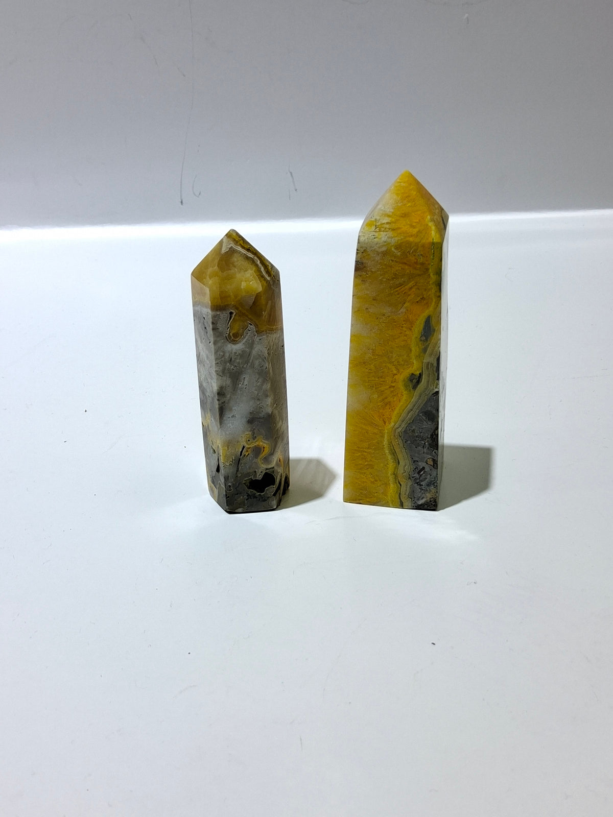 Bumblebee Jasper
