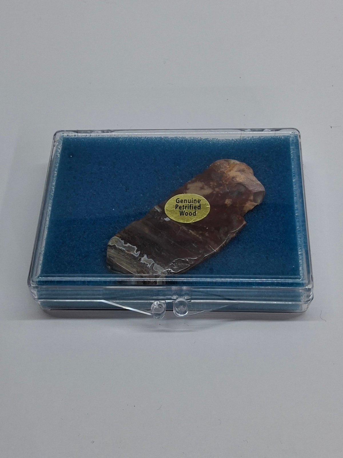 PETRIFIED WOOD