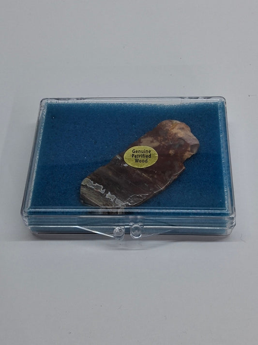 PETRIFIED WOOD