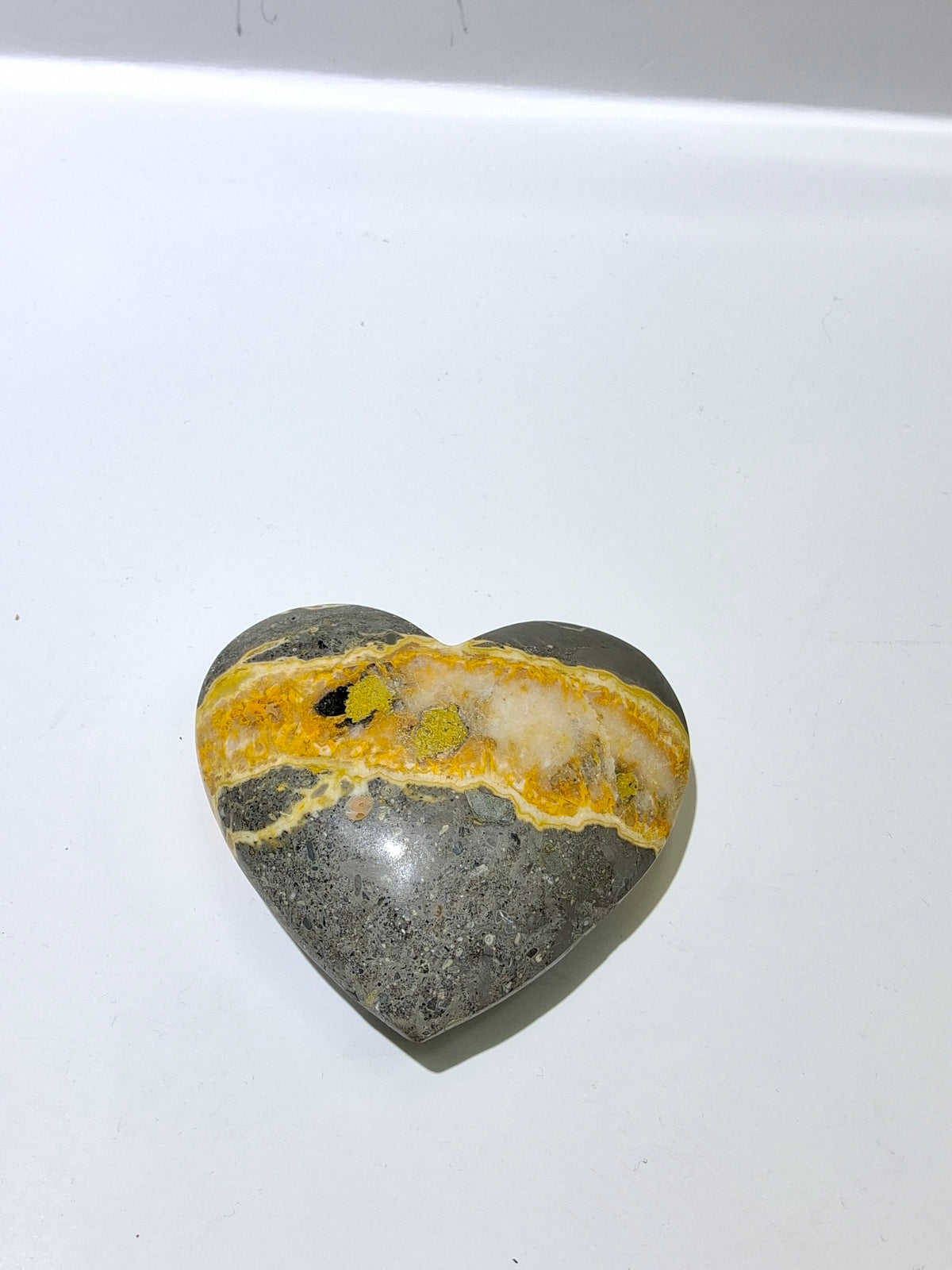 Bumblebee Jasper
