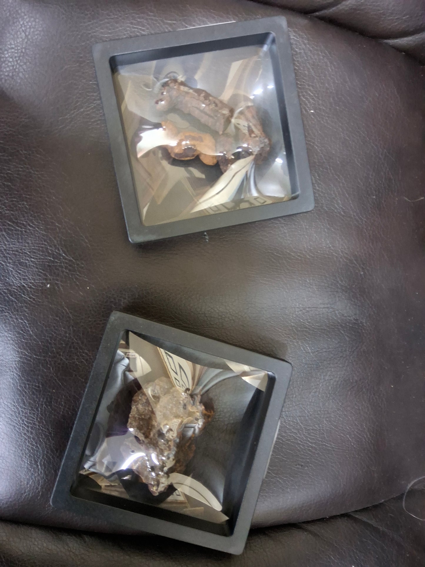 Dino Poop in Frame
