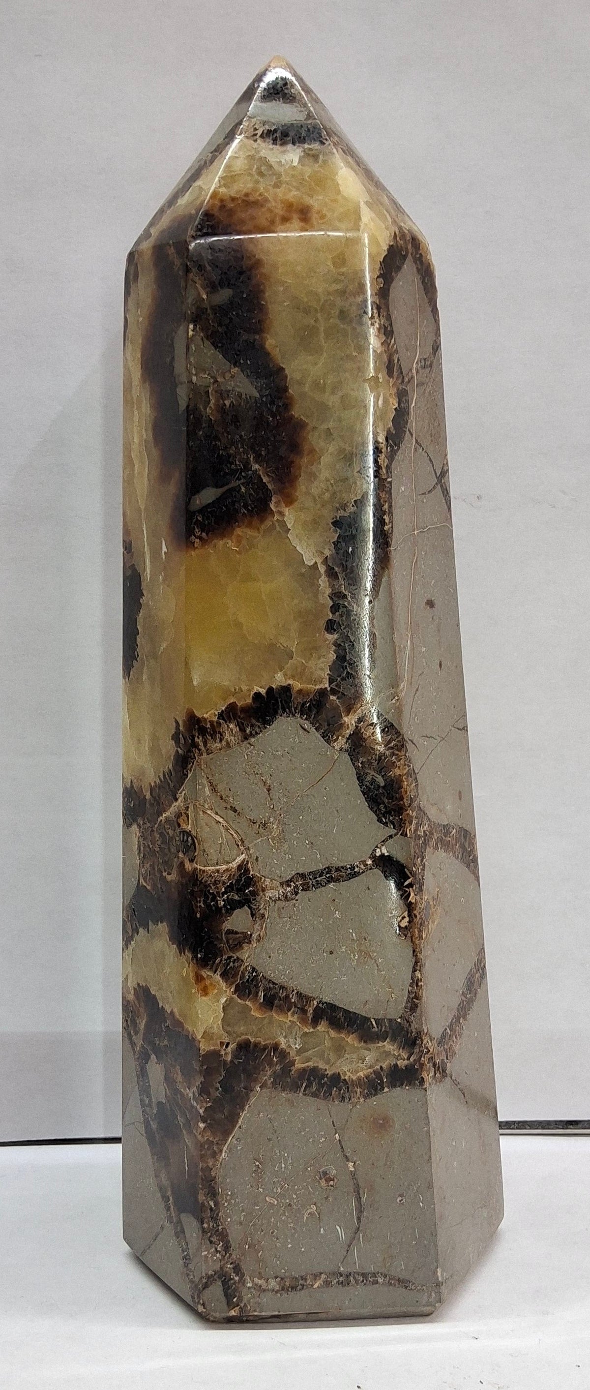 Septarian