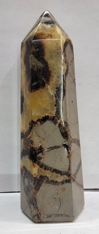 Septarian