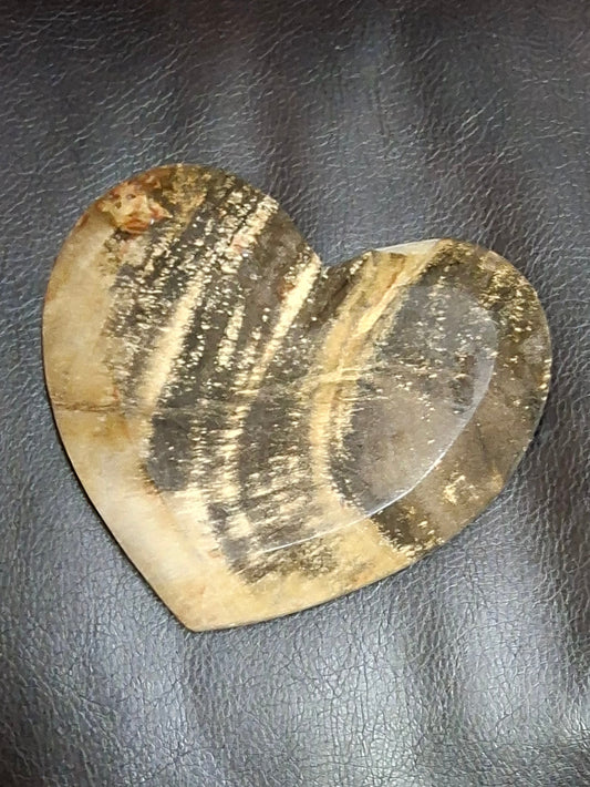 Petrified Wood Heart