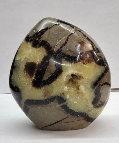 Septarian