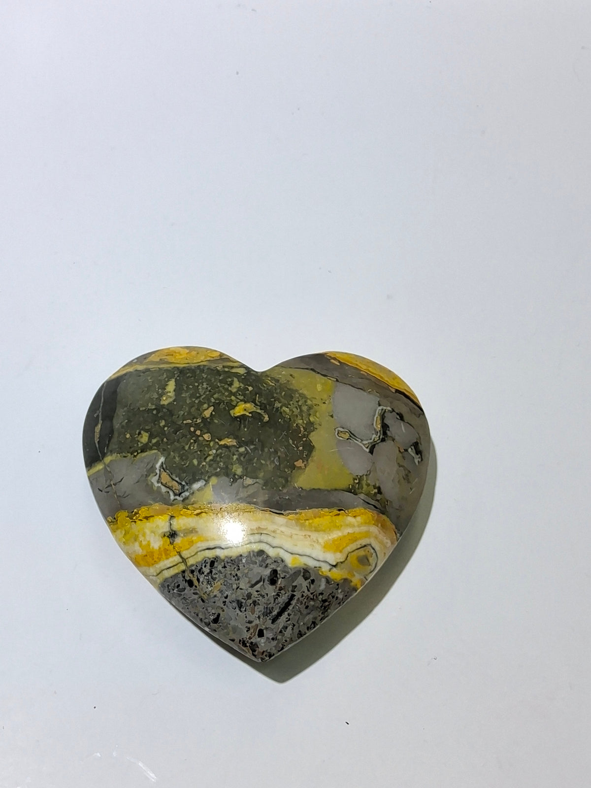 Bumblebee Jasper