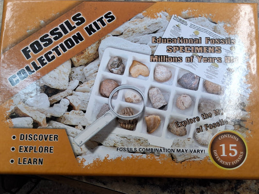 Larger Fossil Collection